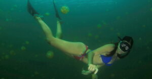 Freediving-Boracay-Activities-04