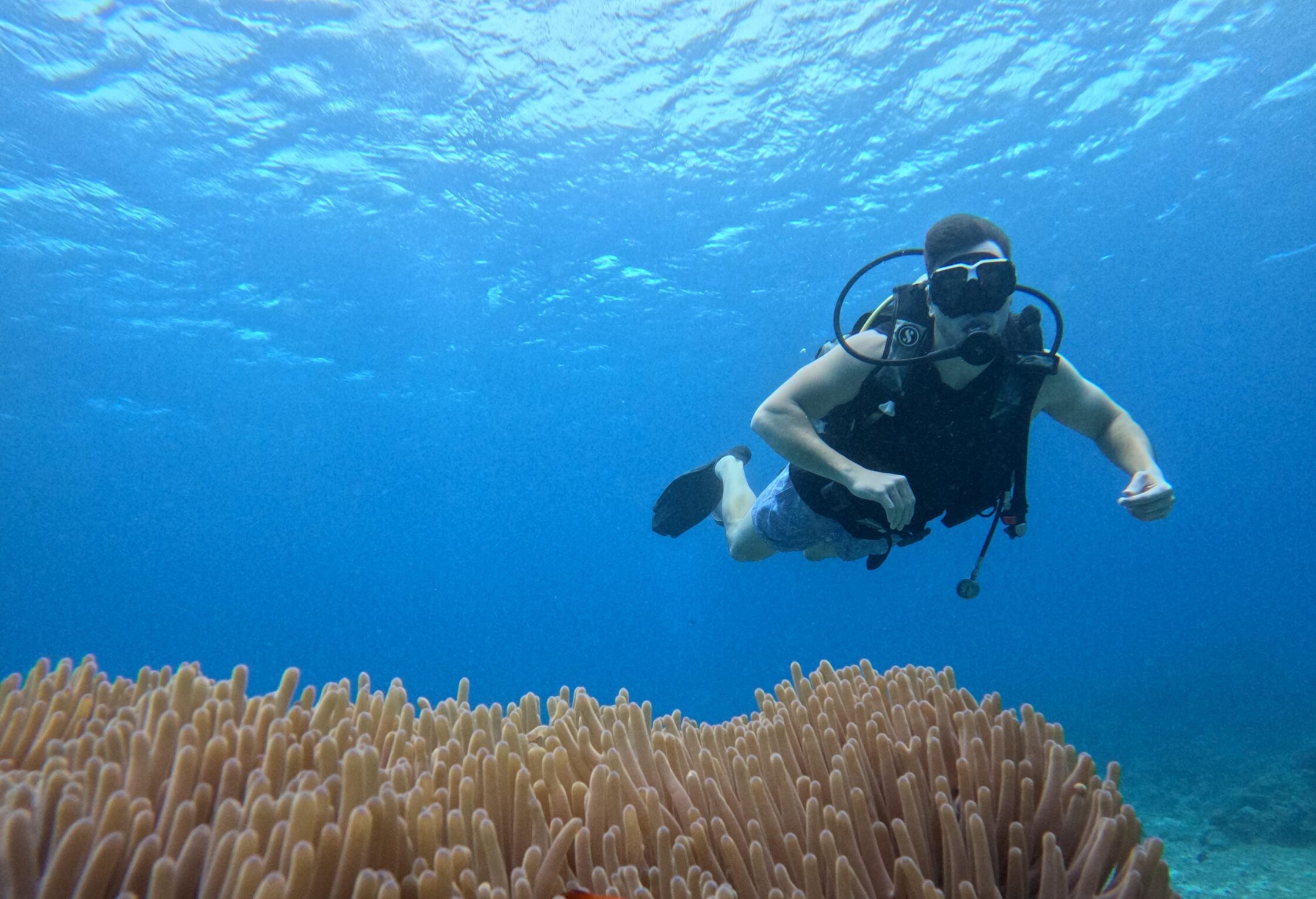 Scuba Diving in Boracay — photo 3